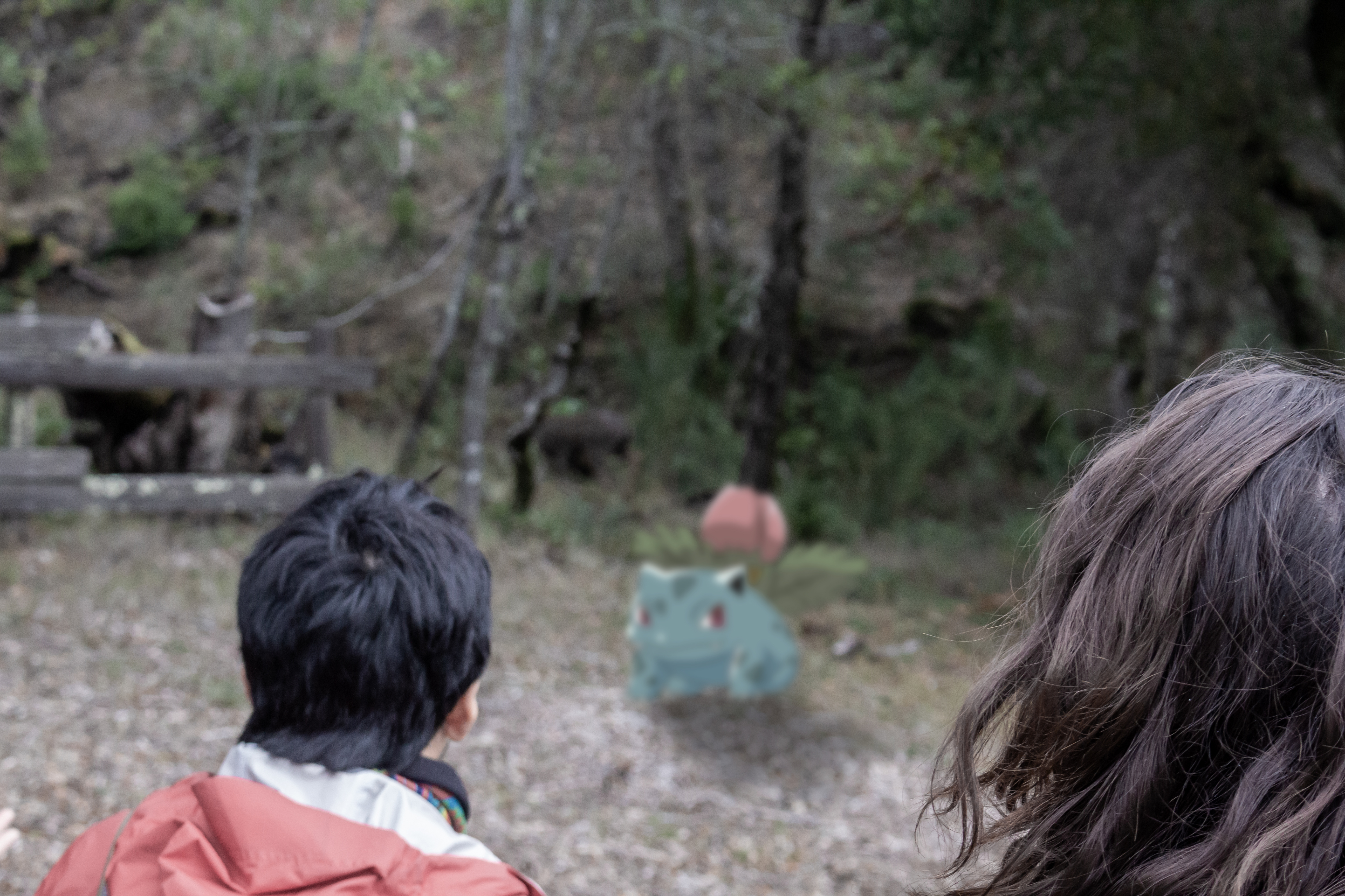 A photograph of a rare Bulbasaur sighting.