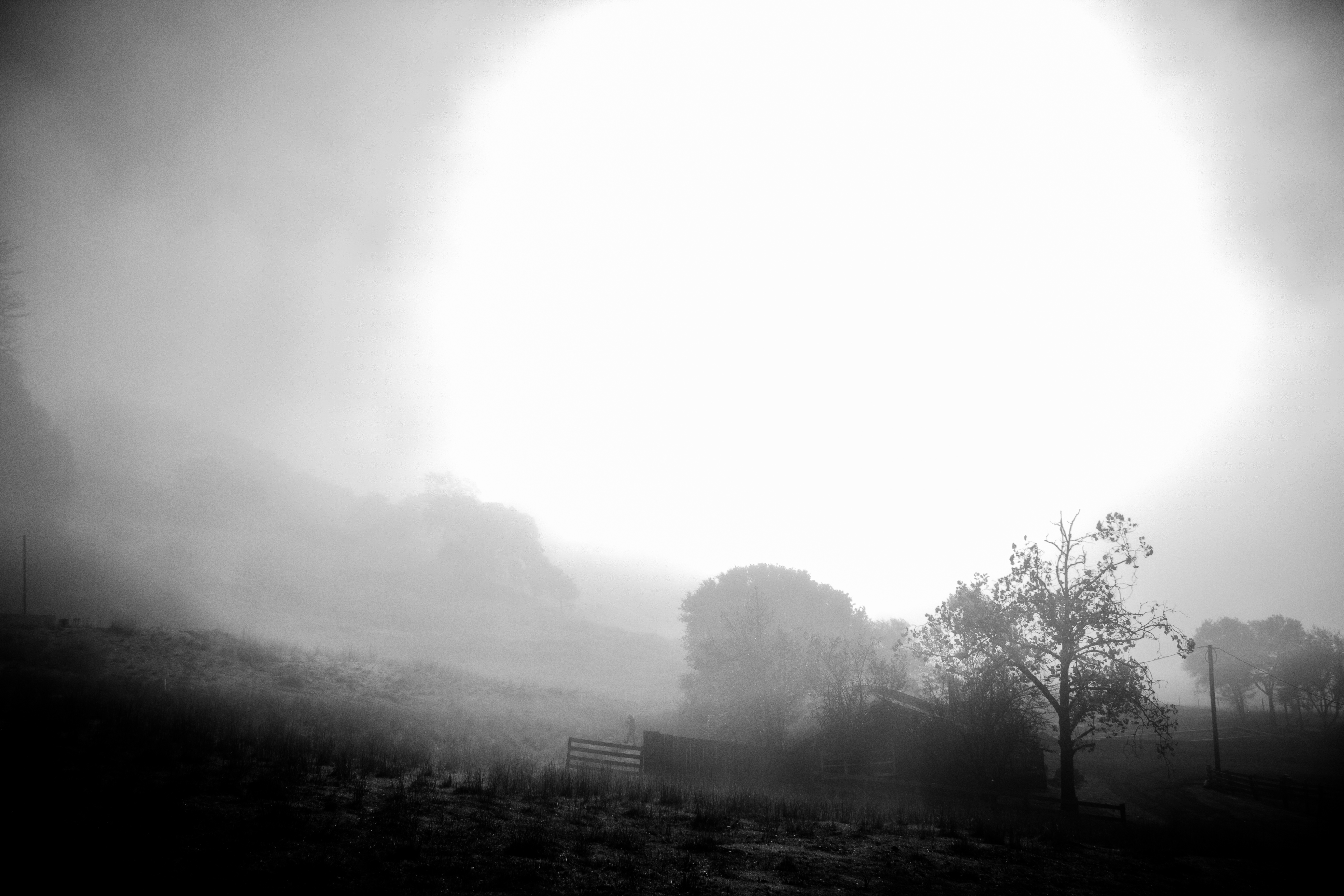 A photograph of a misty morning.