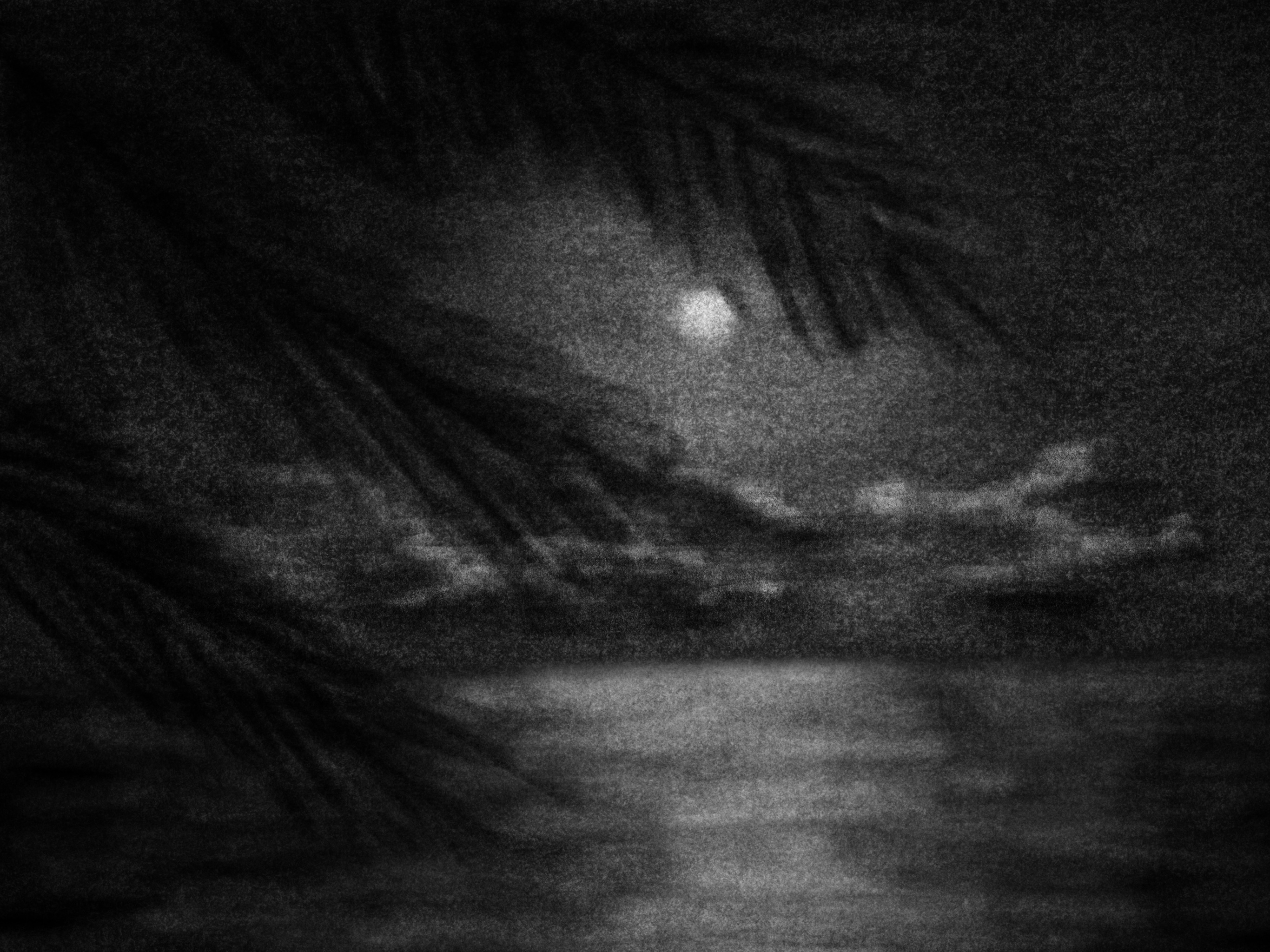 A drawing of a moonrise over the ocean, with some clouds in the distance, and palm tree leaves in the foreground.