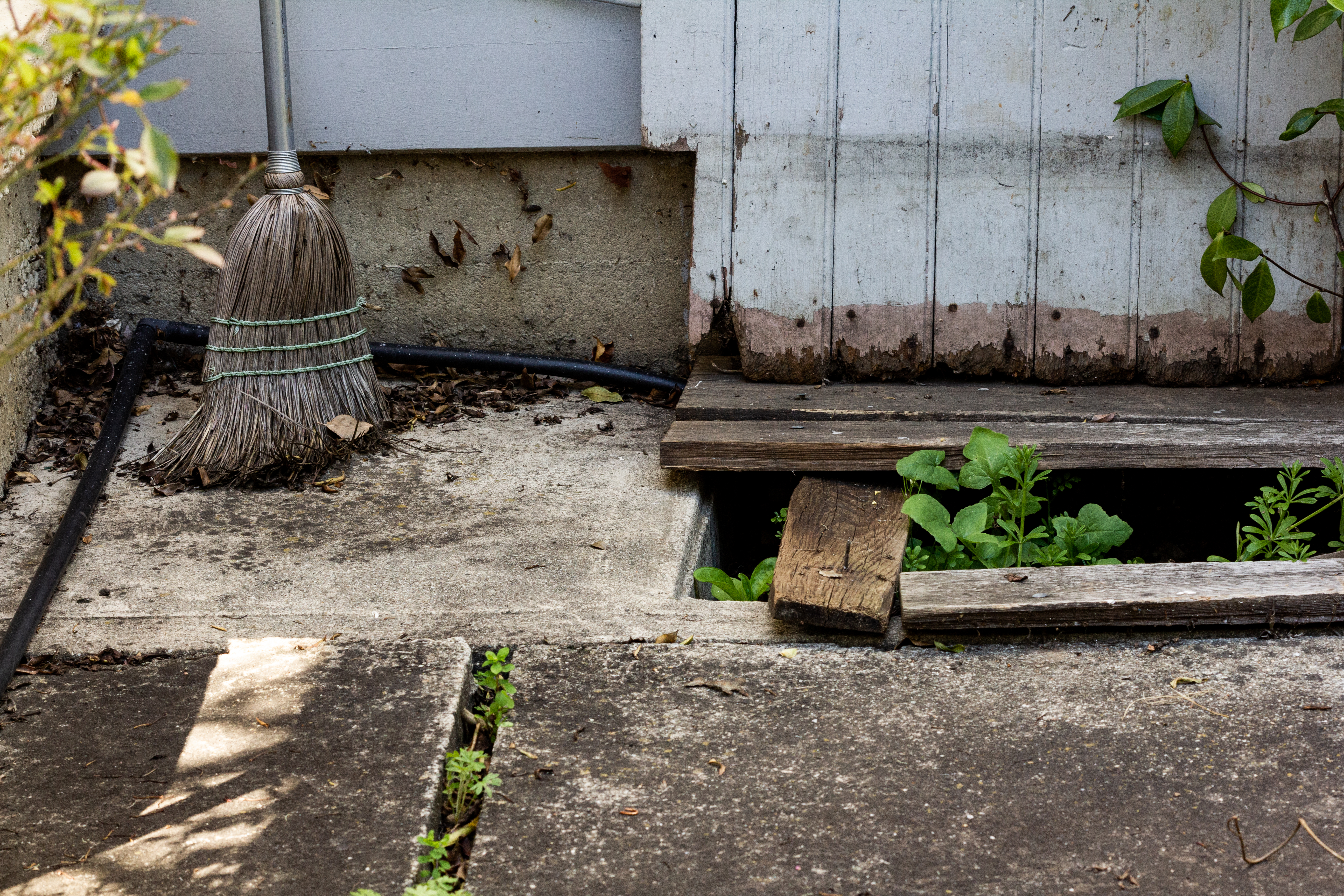 A photograph of some miscellaneous debris outside.