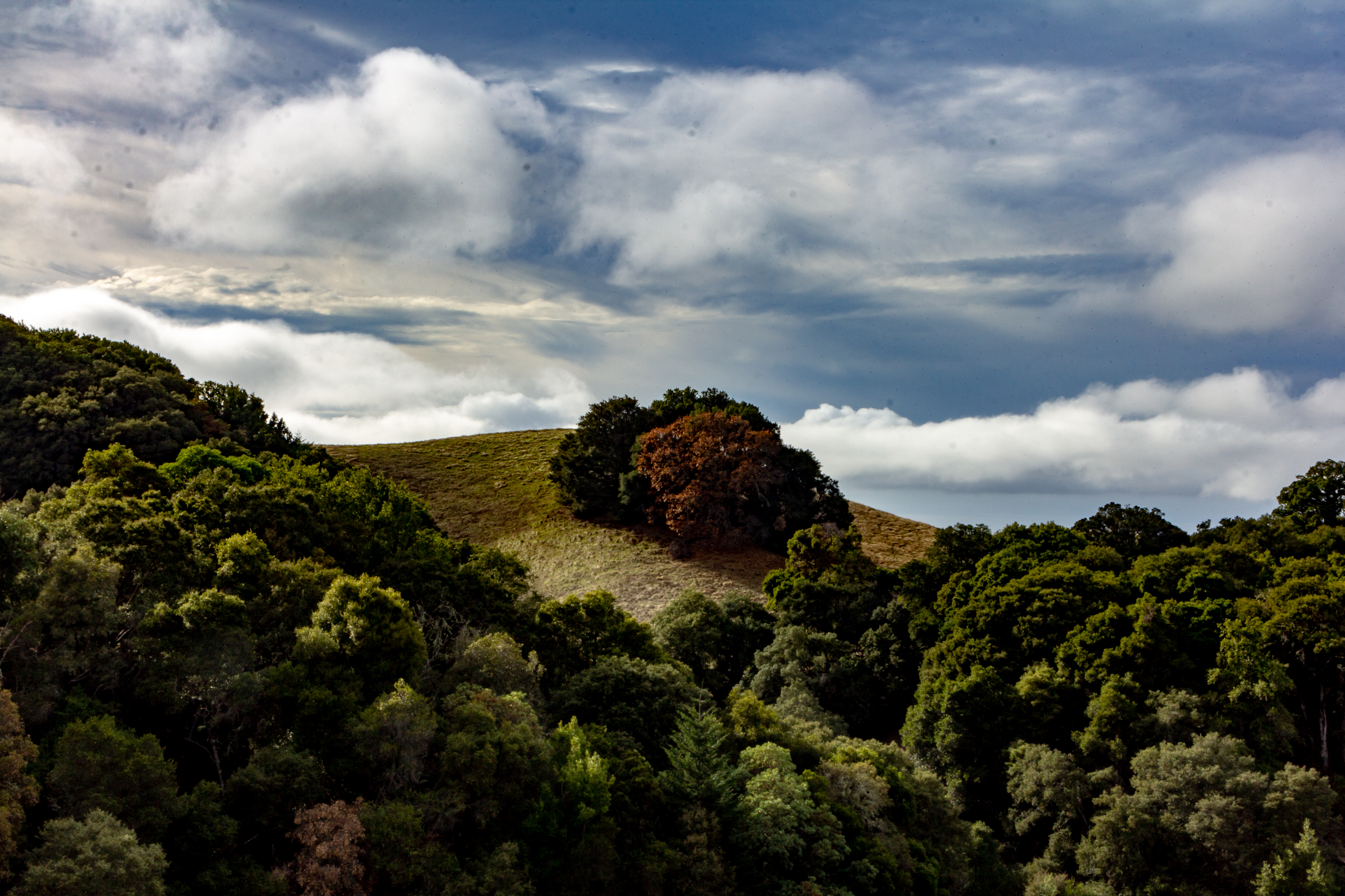 A photograph of a hill in the distance on a partly cloudy day.