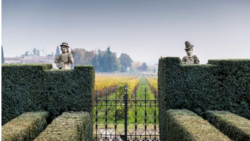 21-generations-of-winemaking-in-the-heart-of-valpolicella-coravin