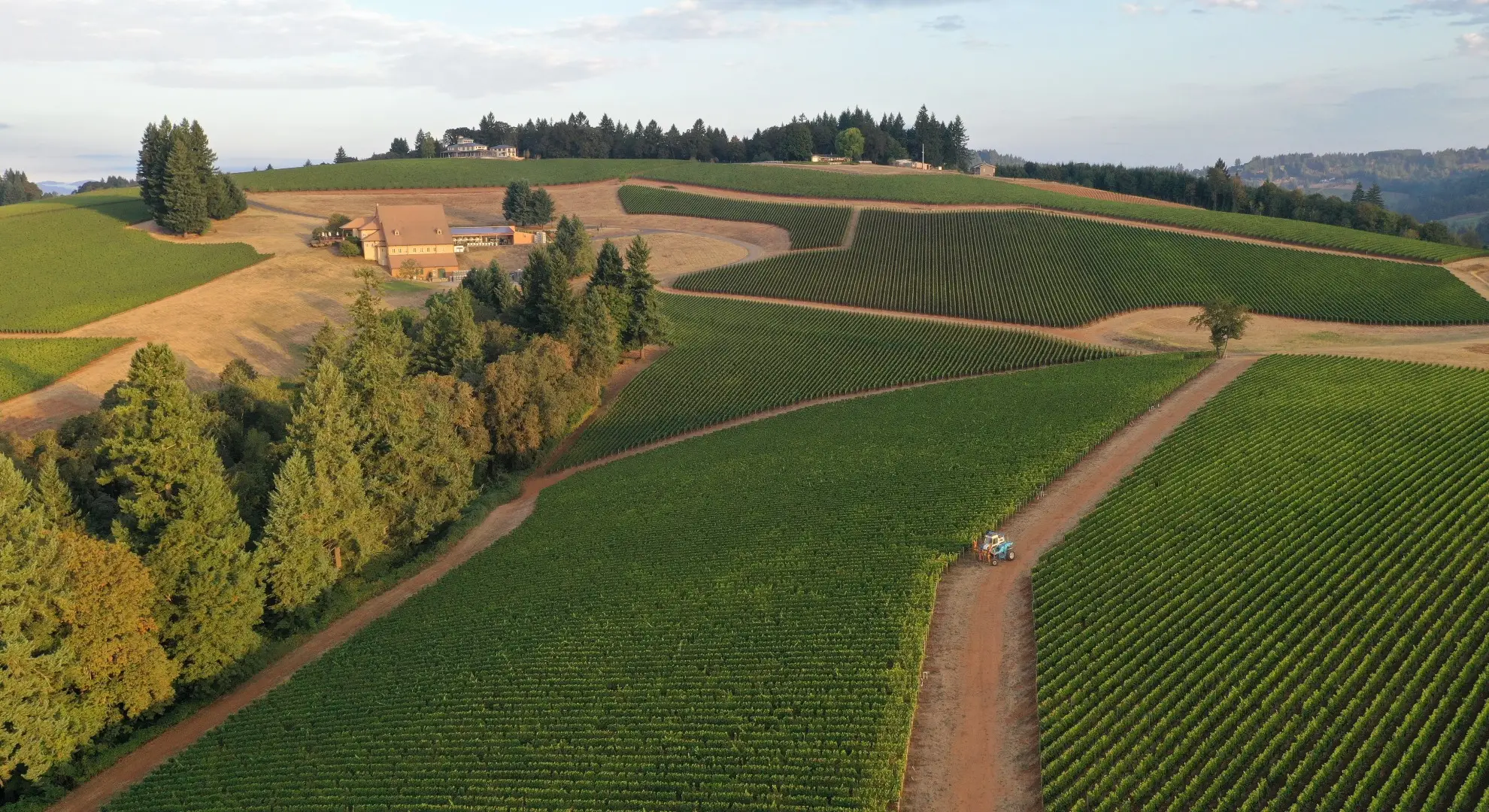 Domaine Drouhin Oregon Earth Day Tasting Hero Banner