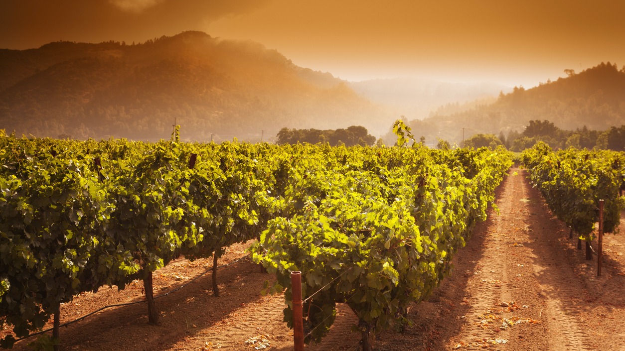image of napa winery