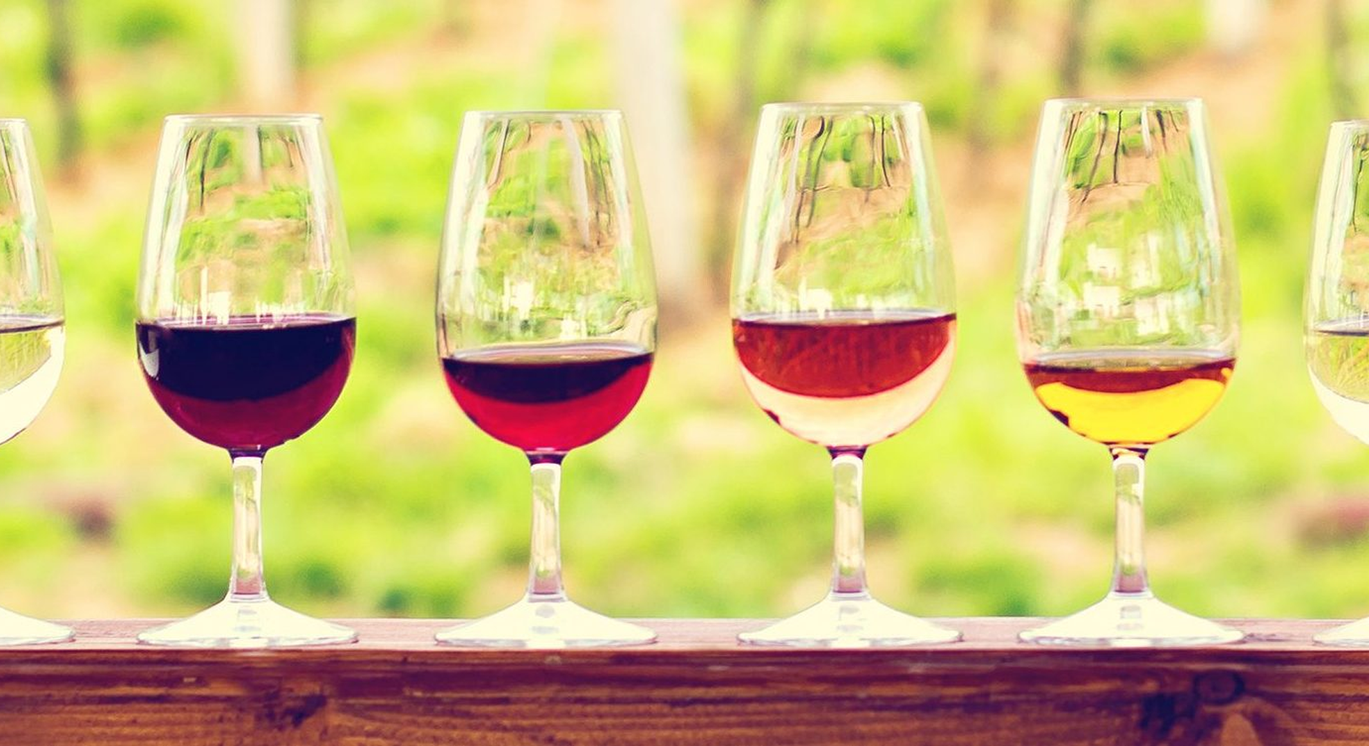 Des verres à vin contenant différents vins alignés les uns à côté des autres sur une table.