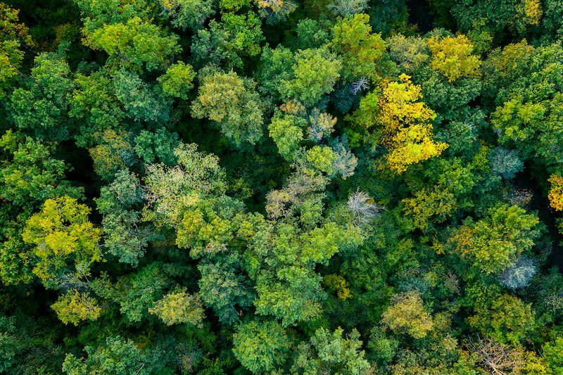 Three simple ways to improve your carbon accounting