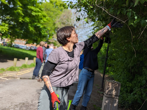 Going green: Celebrating Green Week 2024 at Credera