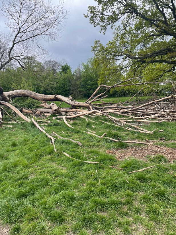 CSR day hampstead heath 1