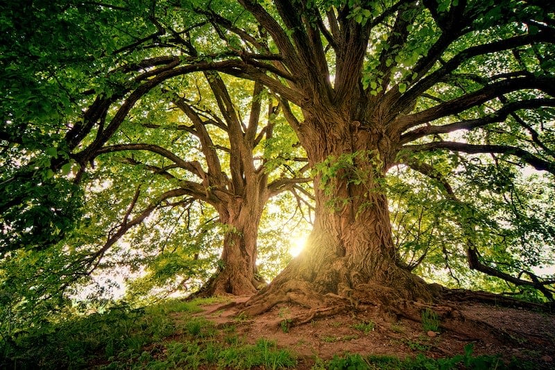 Thinking for tomorrow: How we celebrated Green Week 2022