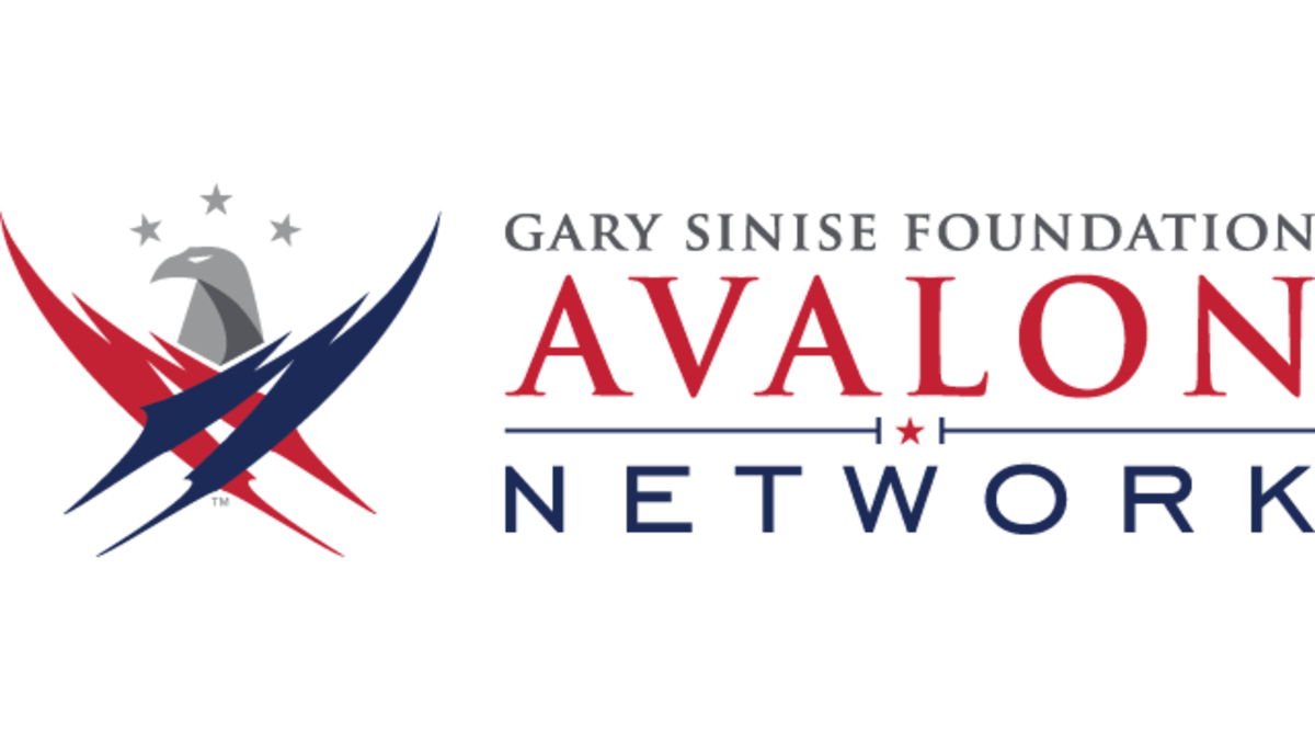 avn logo email 2 (1)