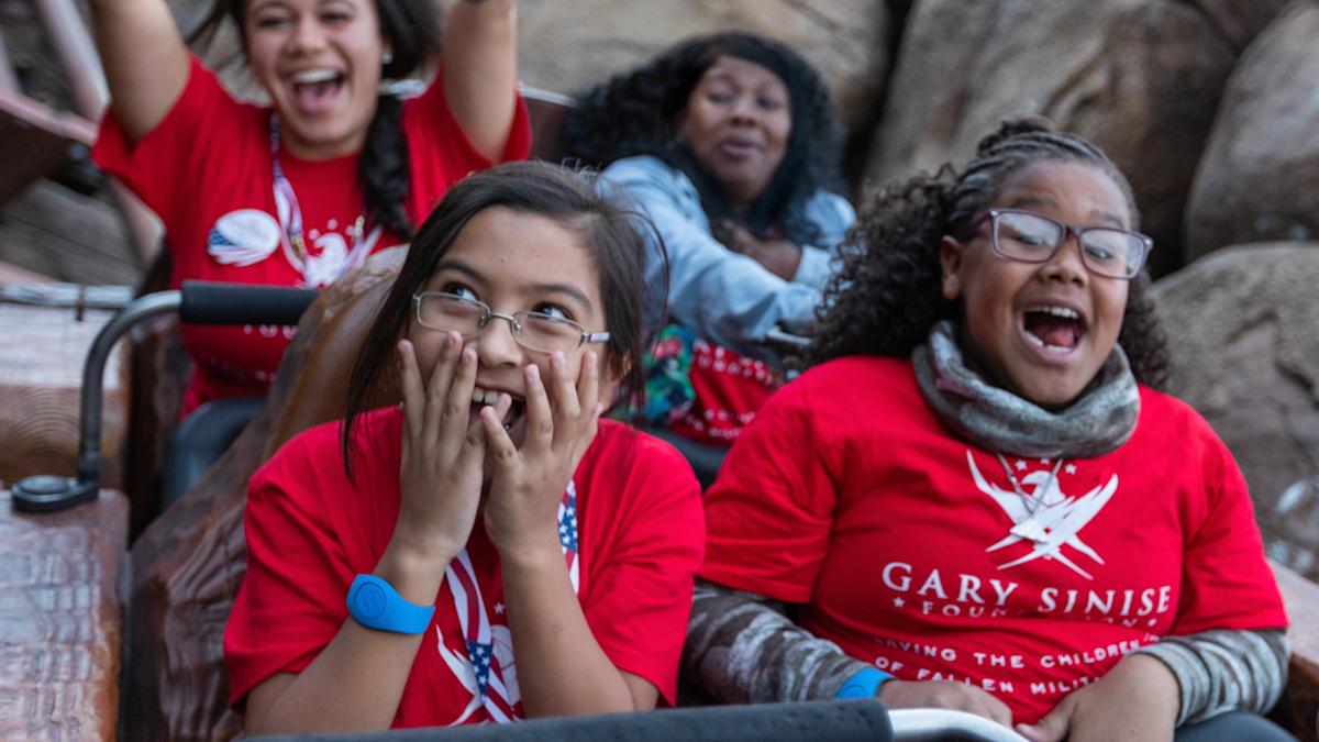 SBE Rollercoaster - Updated