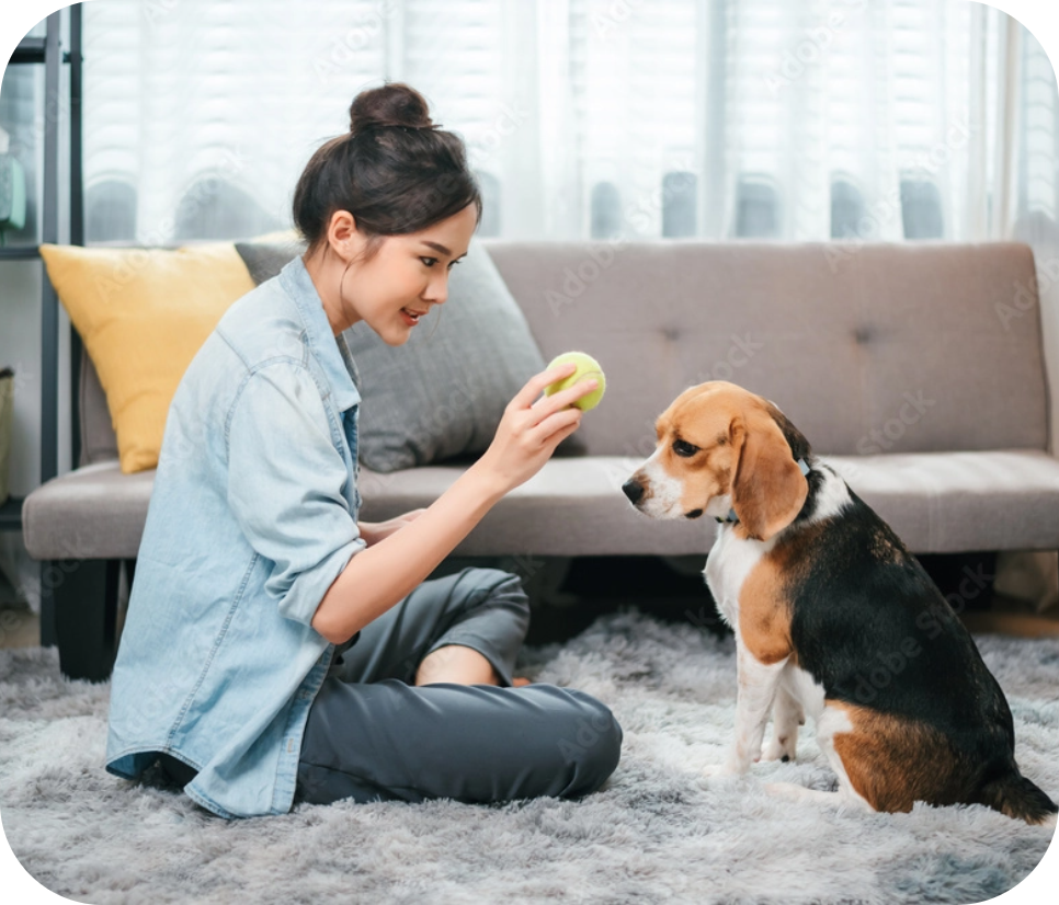 A person and Dog in Same Frame