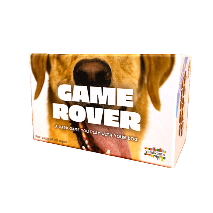 game rover image