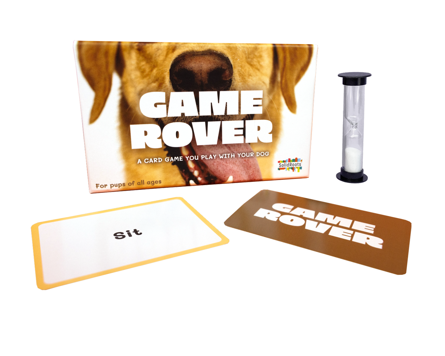Game rover image