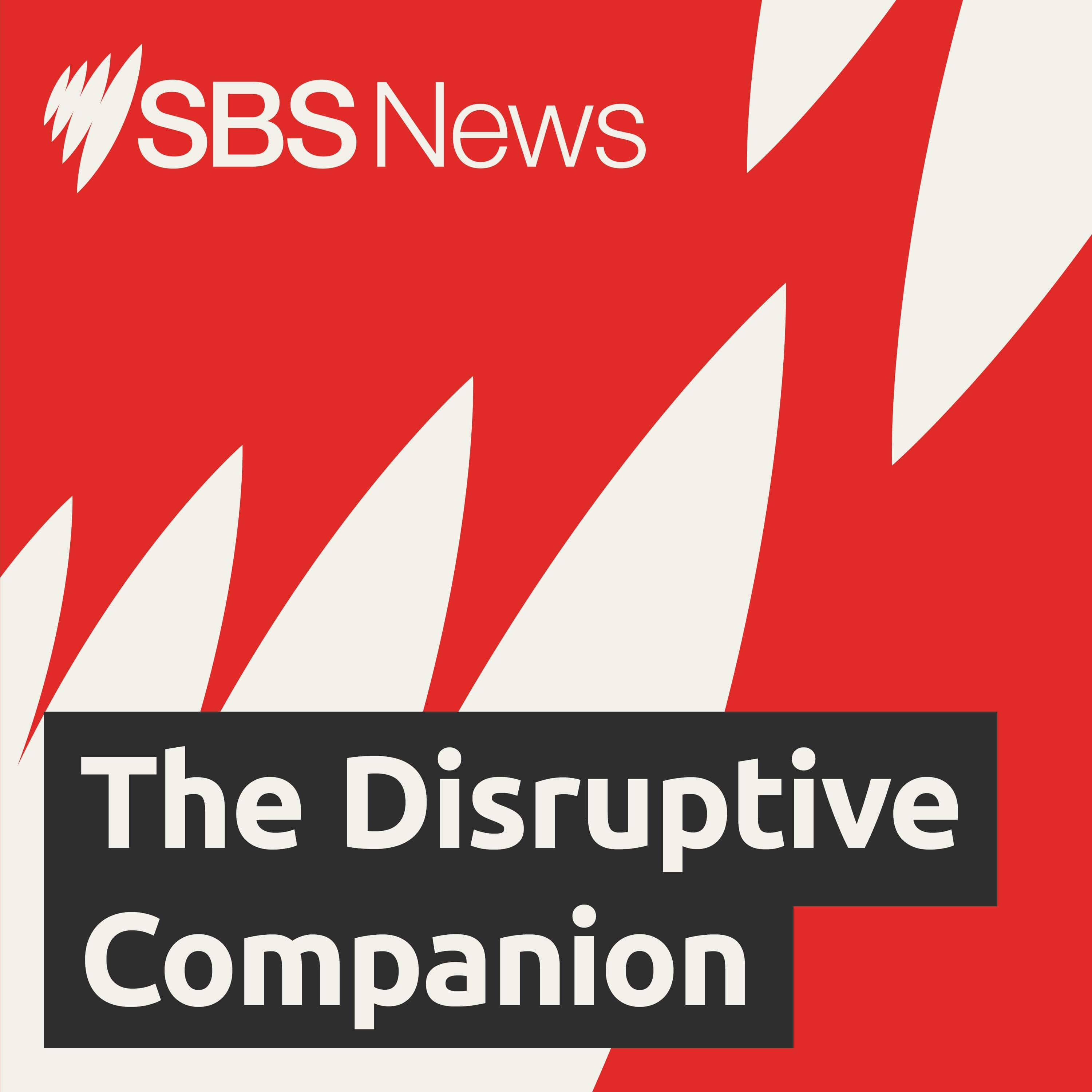 The Disruptive Companion: Migrants' stories