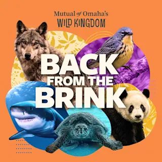 Mutual of Omaha’s Wild Kingdom The Podcast