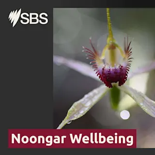 Noongar Wellbeing