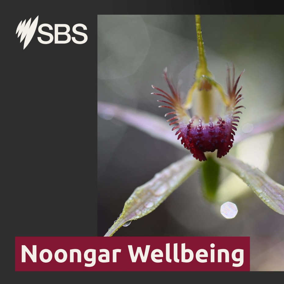 Noongar Wellbeing