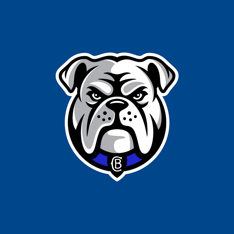 Canterbury-Bankstown Bulldogs