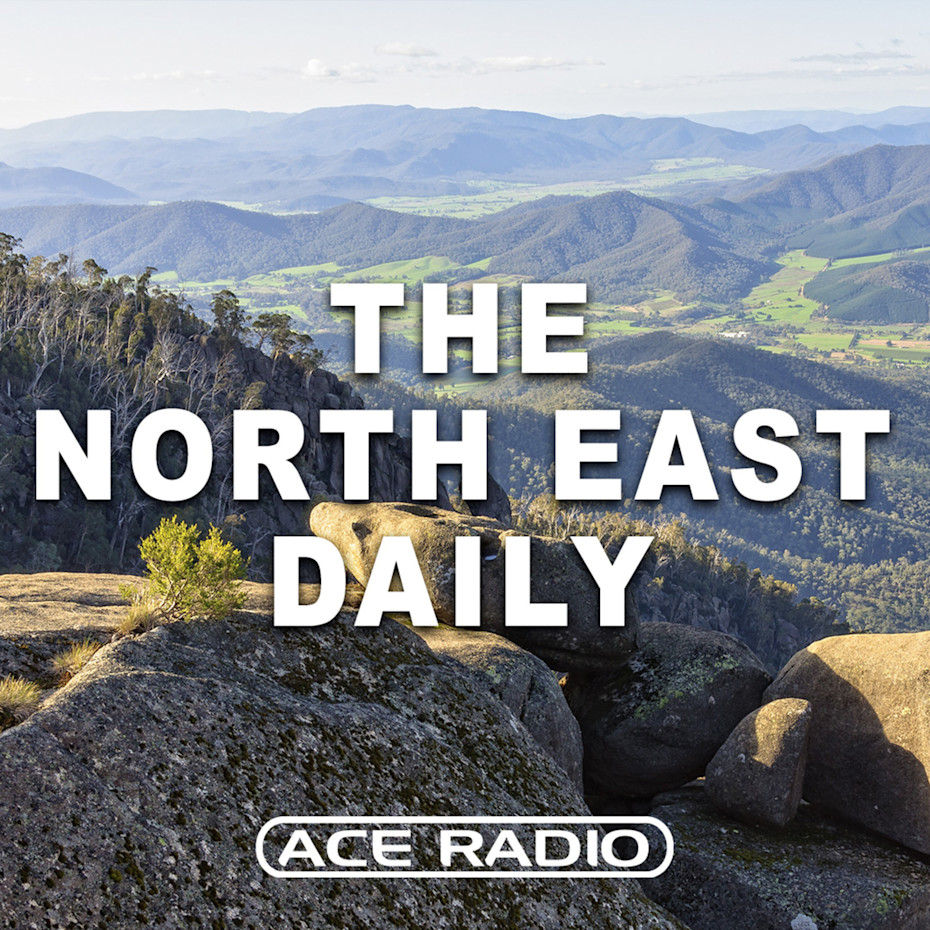 The North East Daily