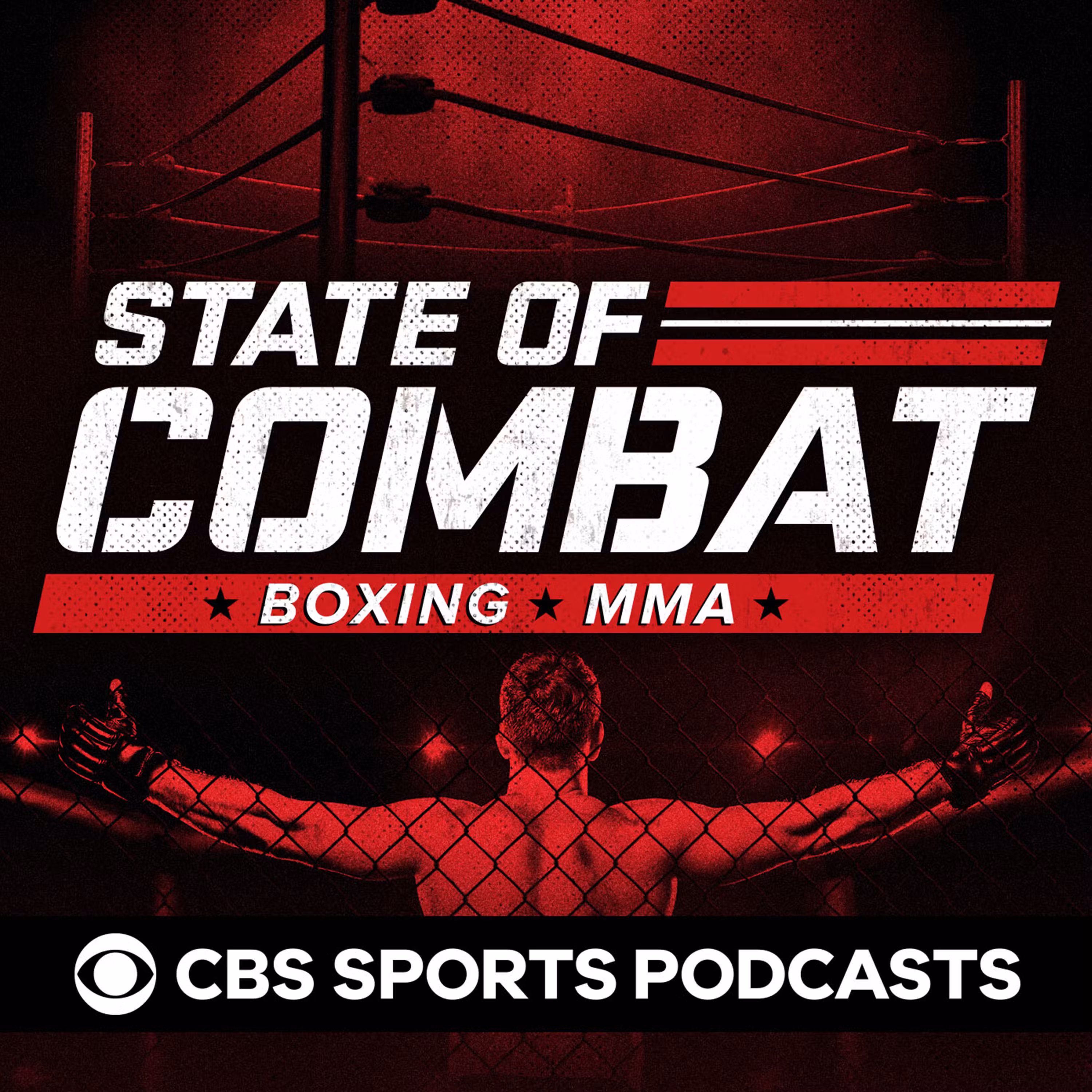 Holm-Aldana recap | Jon Jones vs. Israel Adesanya | Chris Weidman | MORNING KOMBAT | Ep. 65