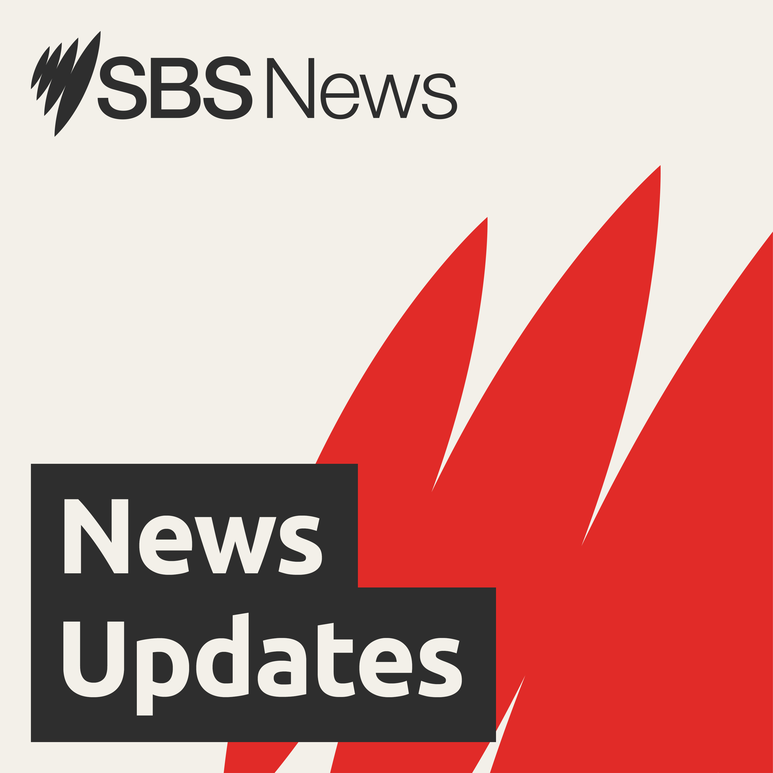 Evening News Bulletin 3 August 2025