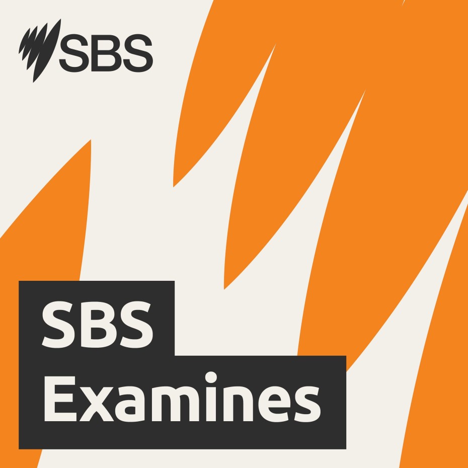 SBS Examines