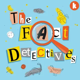 The Fact Detectives