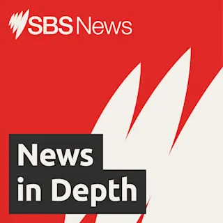 SBS News in Depth