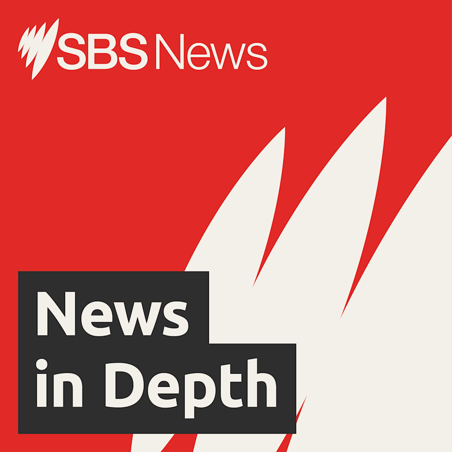 SBS News in Depth