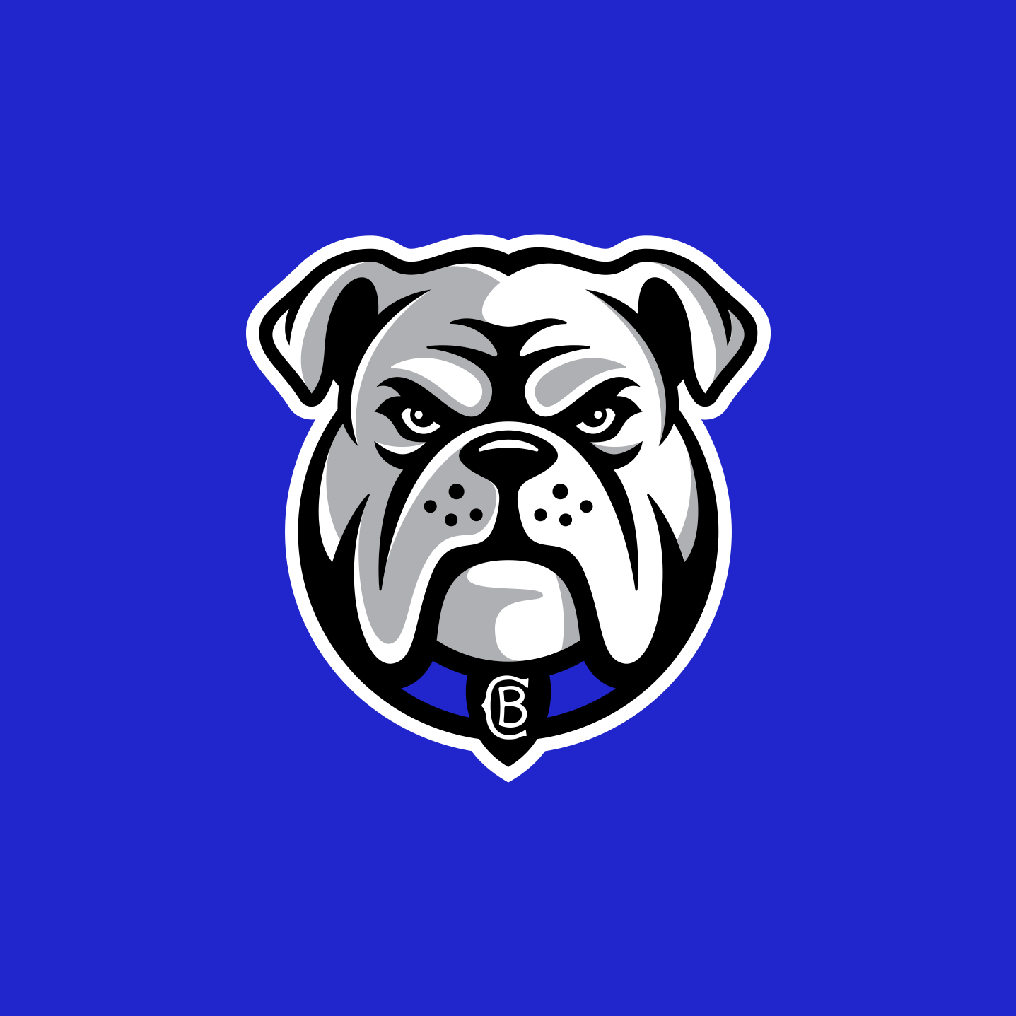 Canterbury-Bankstown Bulldogs