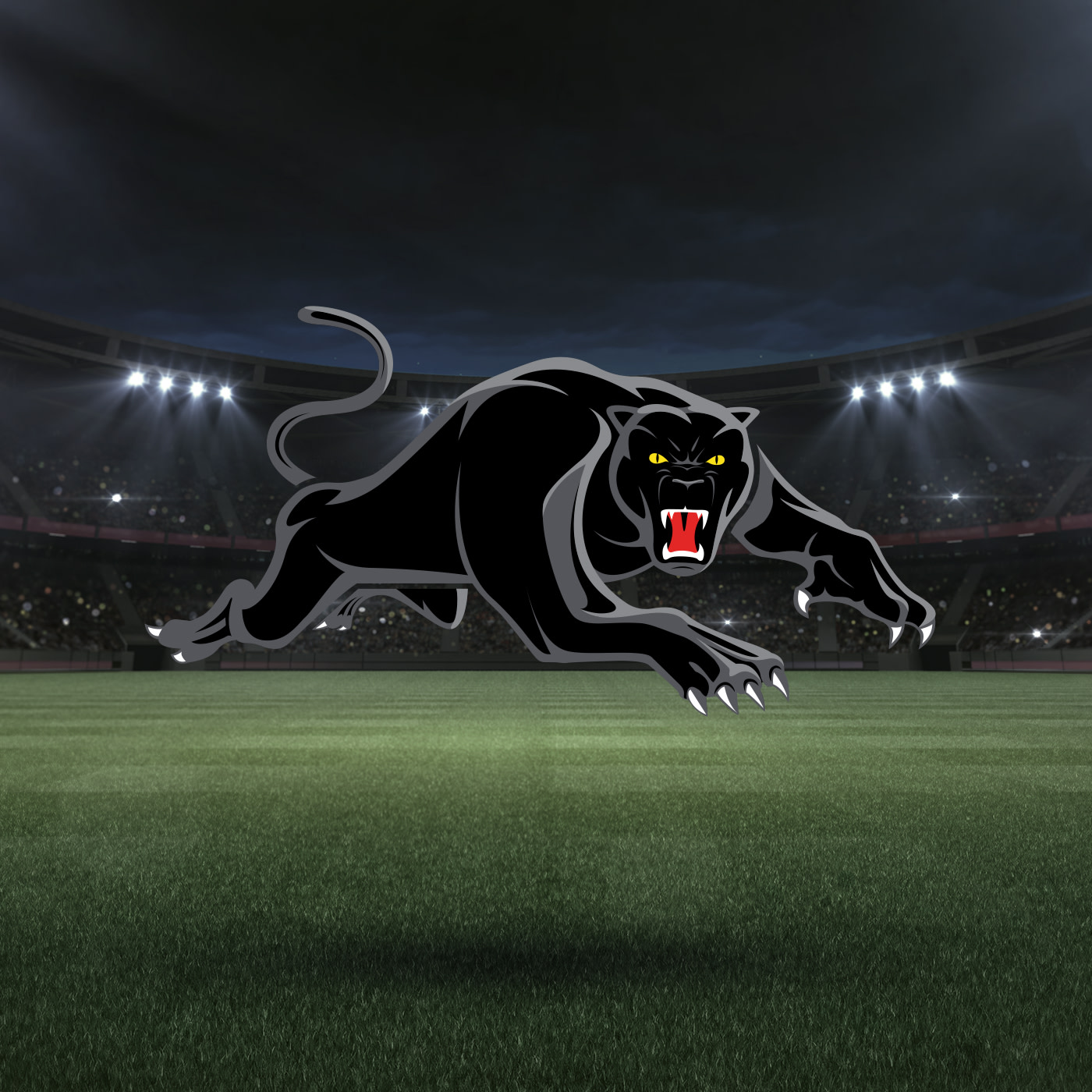  Penrith Panthers