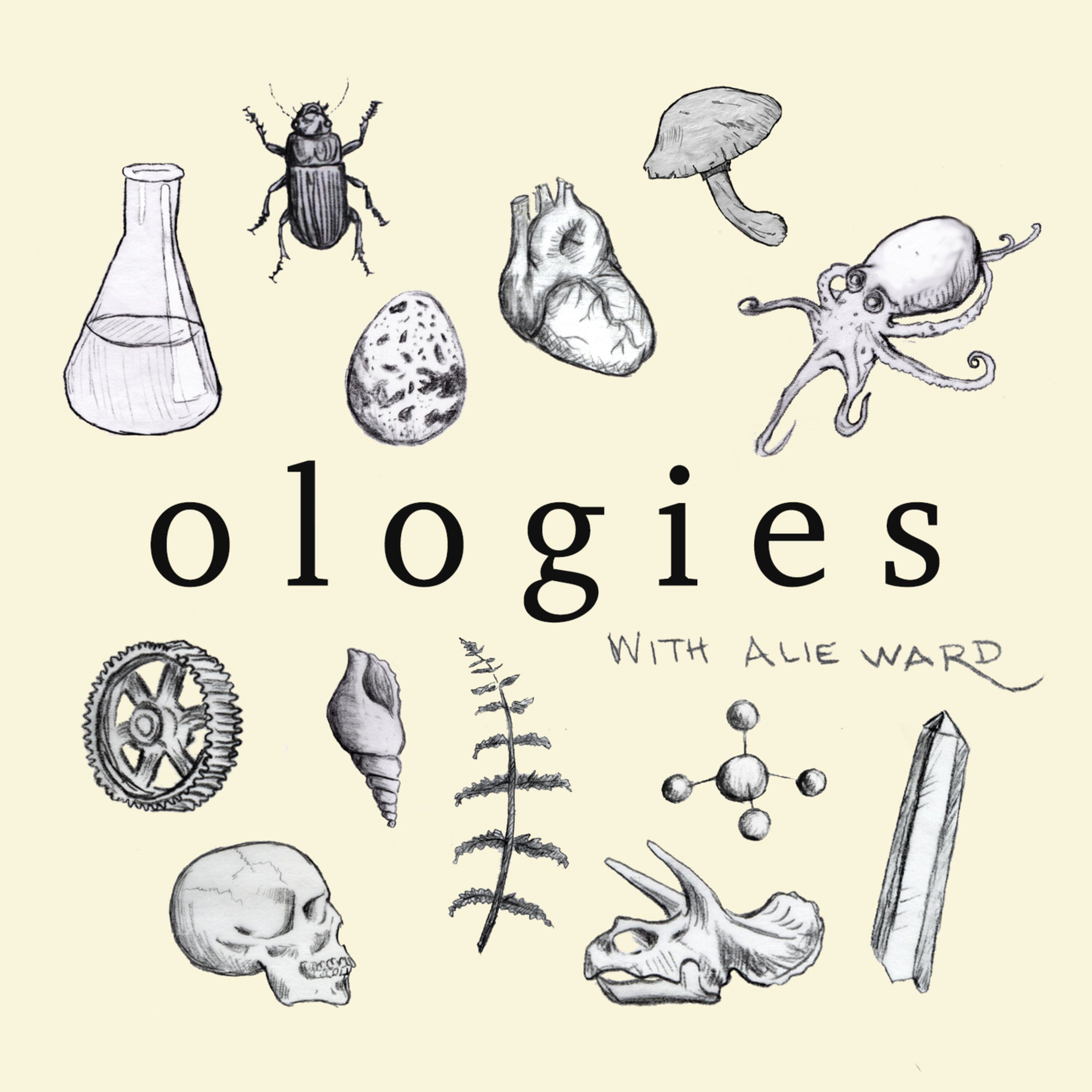 Bonus Episode: Optical Technology (HISTORY OF EYEGLASSES + MODERN DAY VISION)