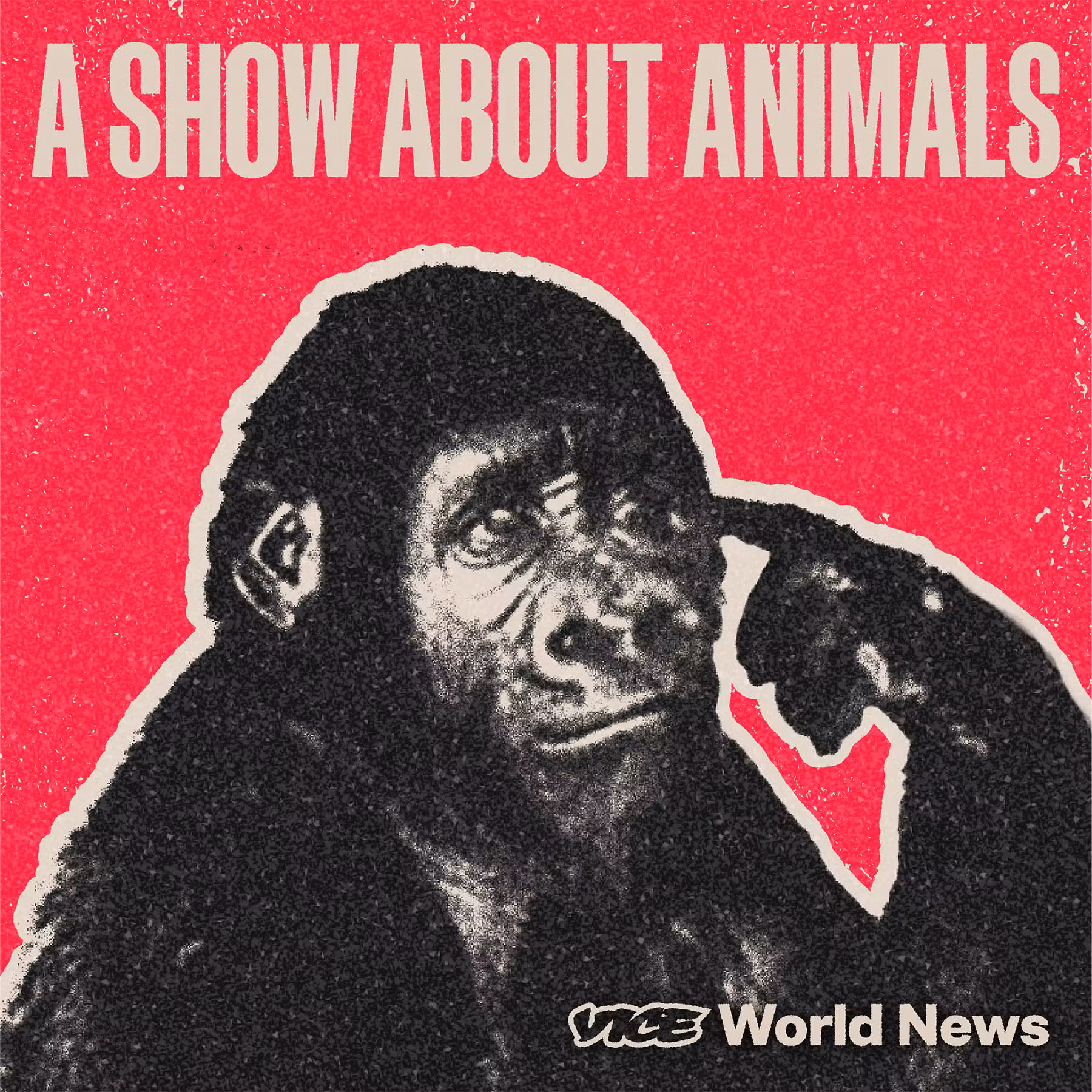 BONUS: A Trip to the Zoo