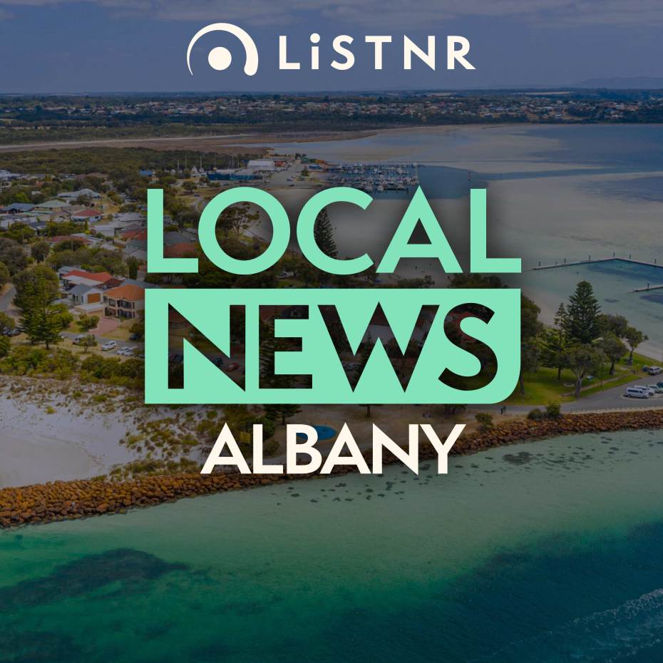Albany Local News