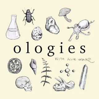 Mnemonology (MEMORY) Part 1 with Michael Yassa