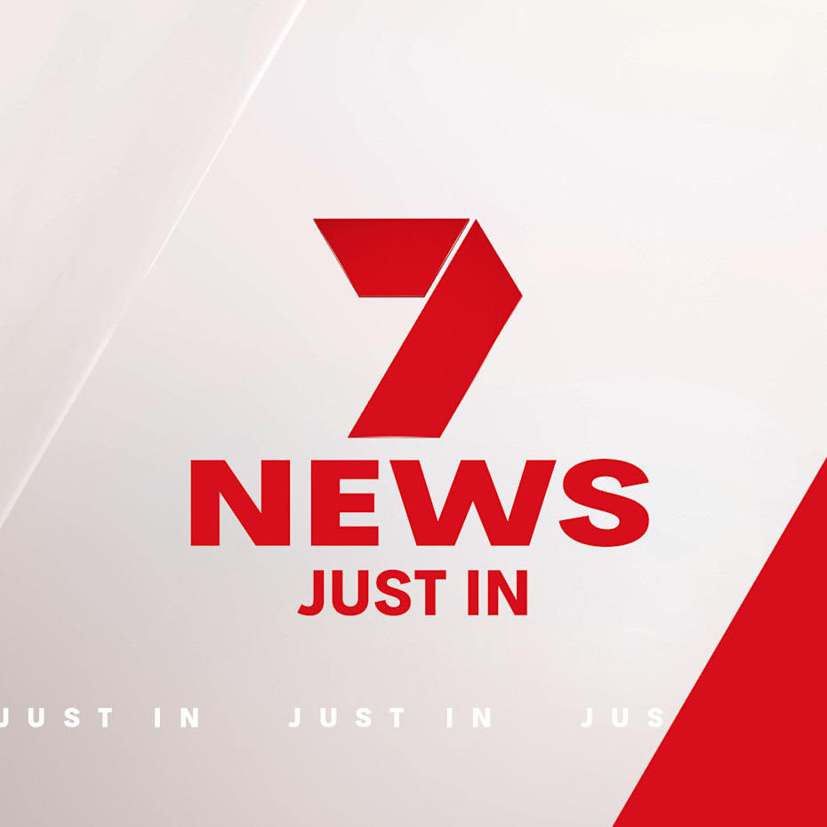 7News Just In
