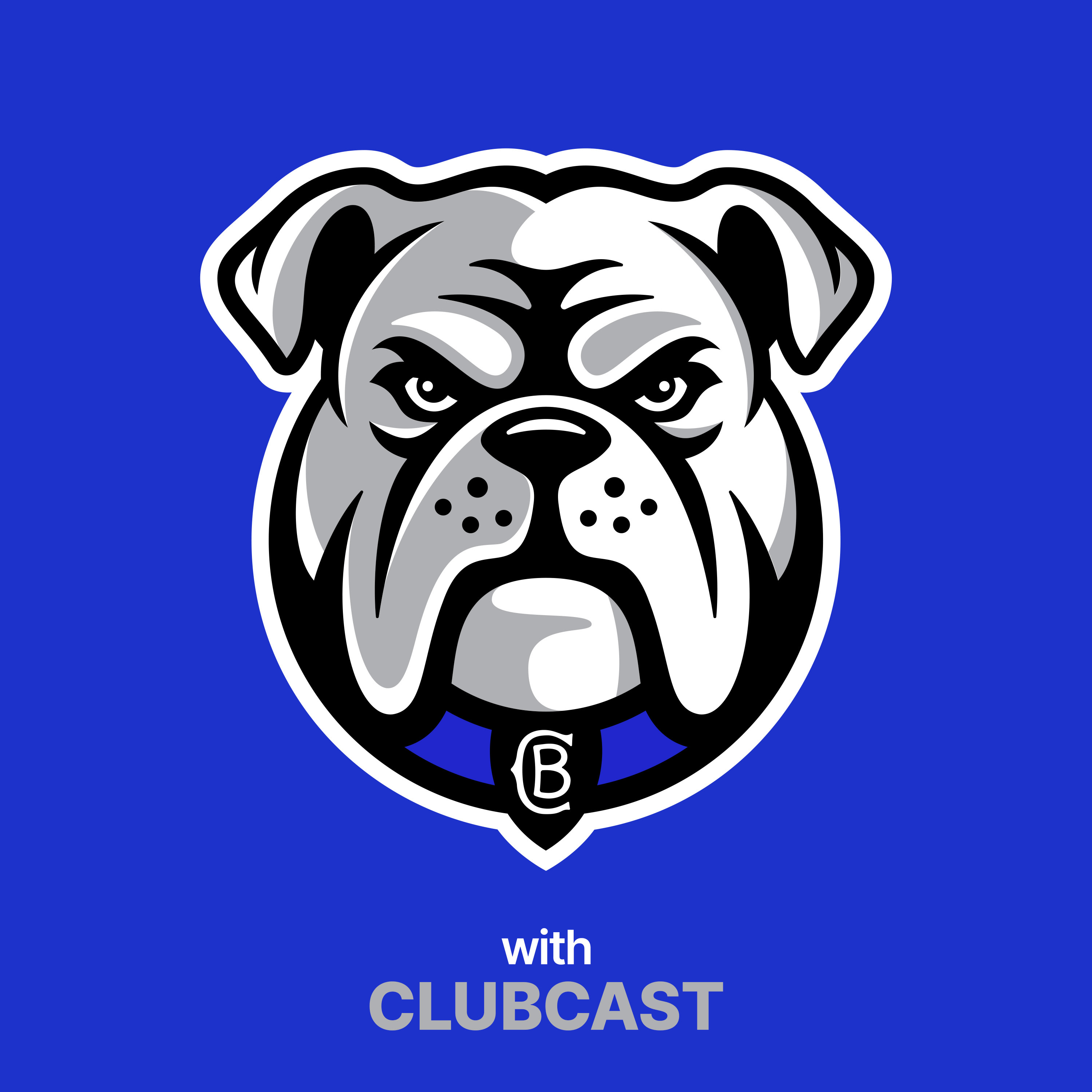 Canterbury-Bankstown Bulldogs