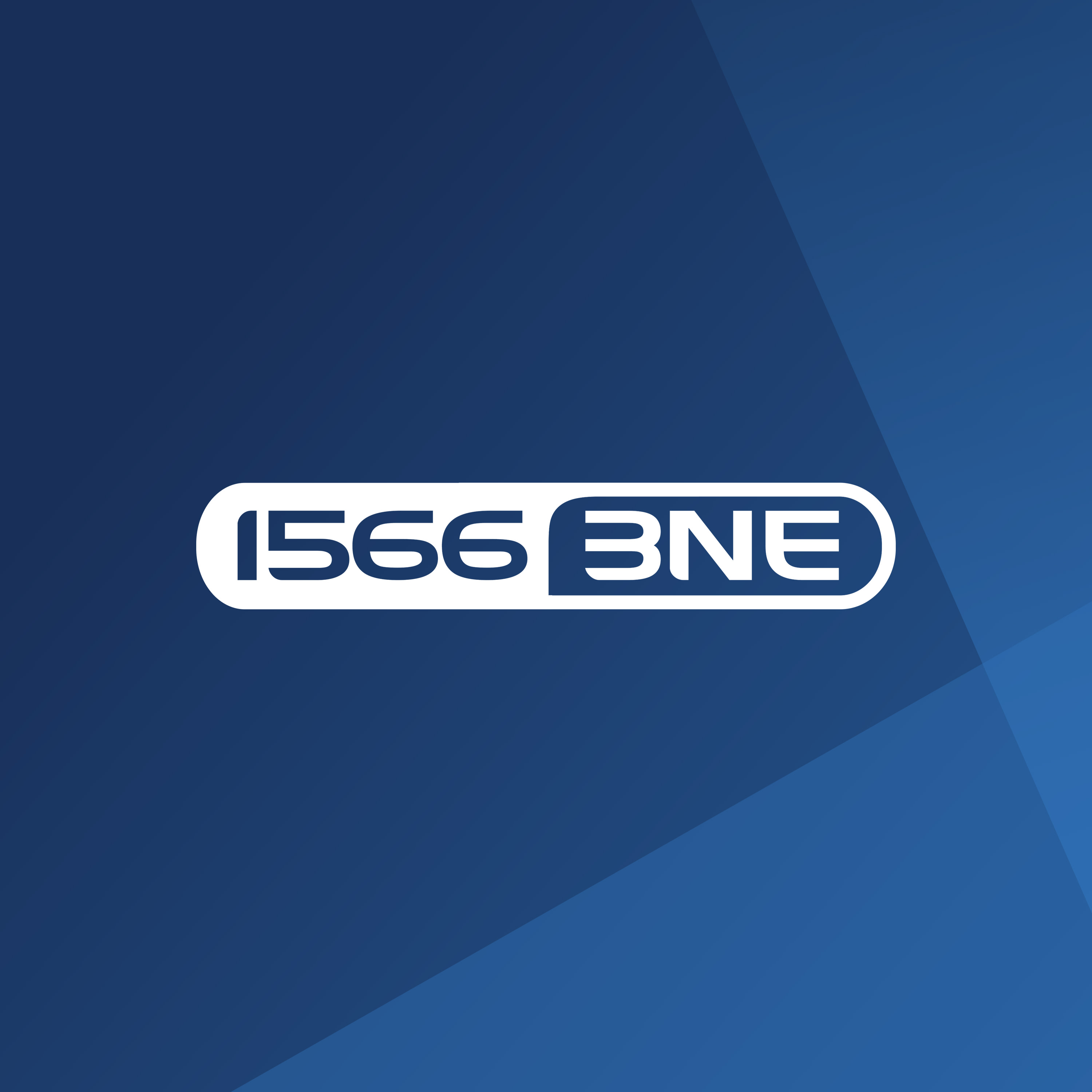 3NE logo