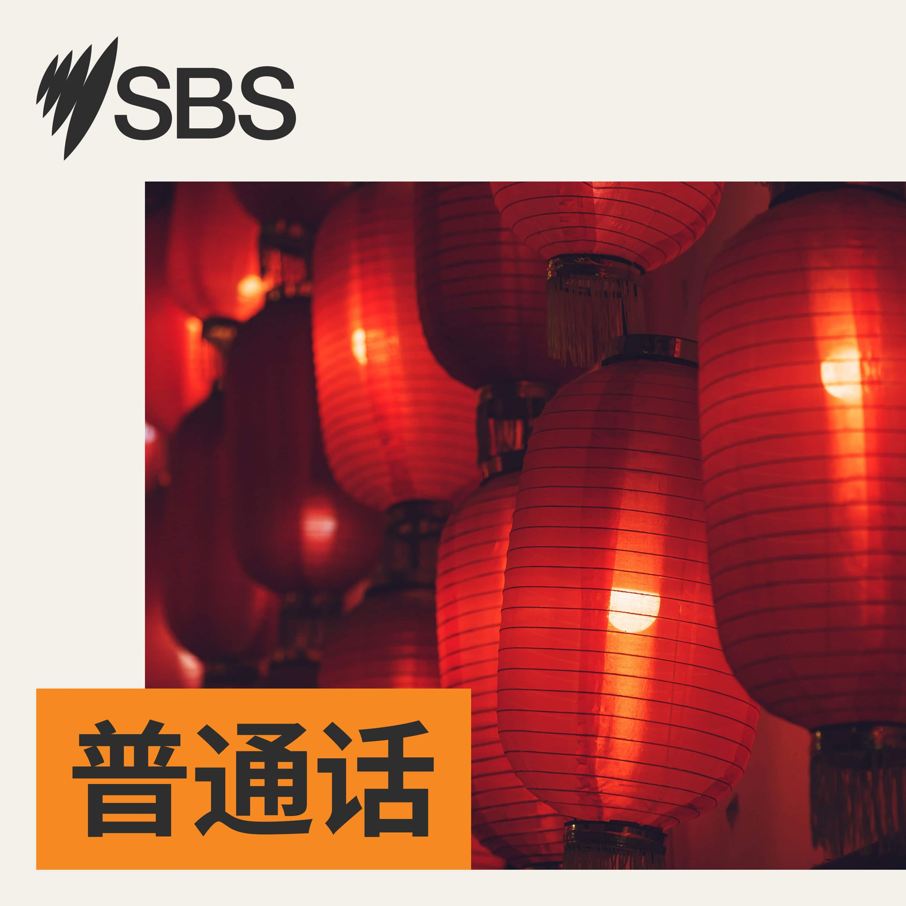 解密文件：揭示2004年霍华德政府应对伊拉克战争的细节