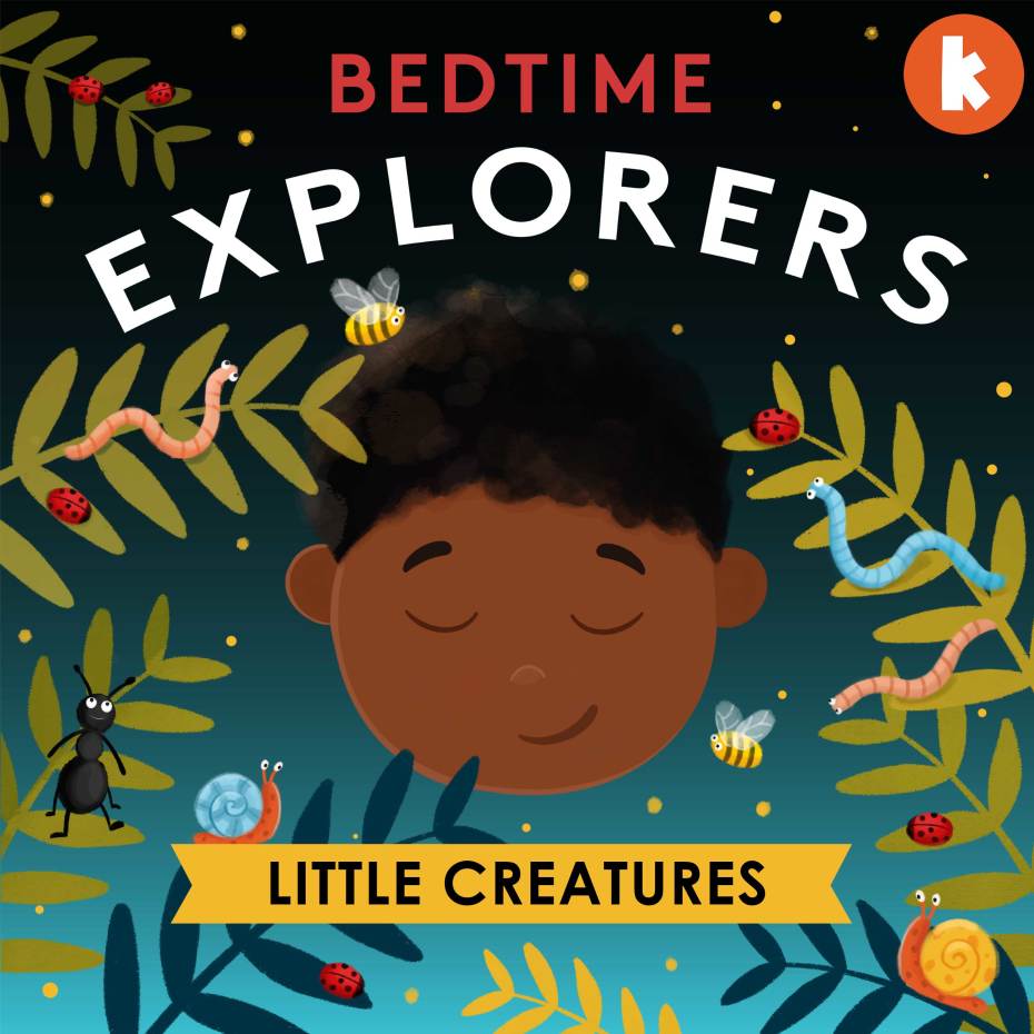Bedtime Explorers - Little Creatures