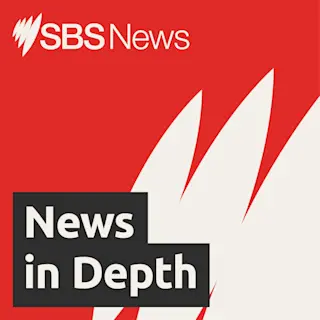 SBS News in Depth