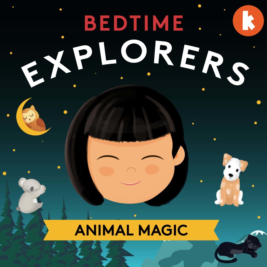 Bedtime Explorers Animal Magic