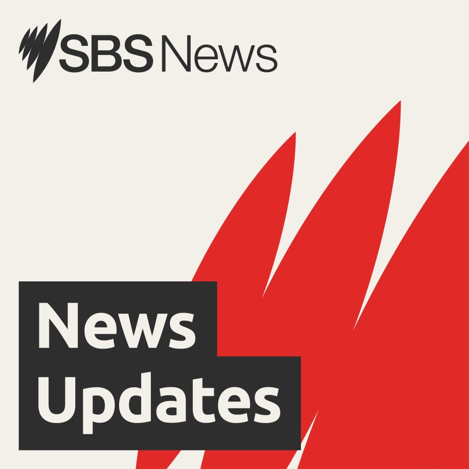 SBS News Updates