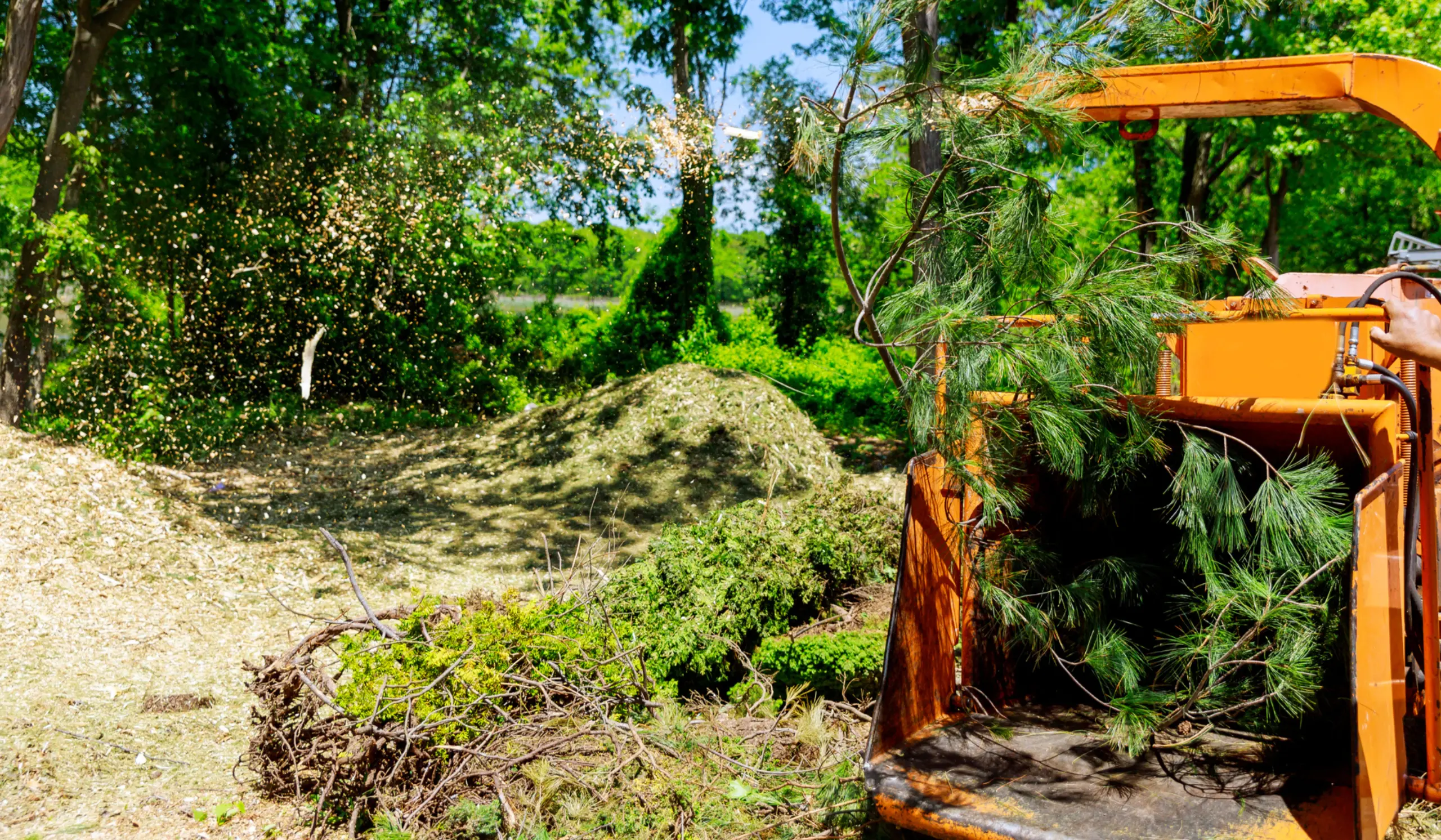 Etsitkö haketuspalvelua {{CITY_NAME_ELA}}? Haketus on nopea ja ympäristöystävällinen tapa käsitellä oksia, risuja ja muuta puutarhajätettä.