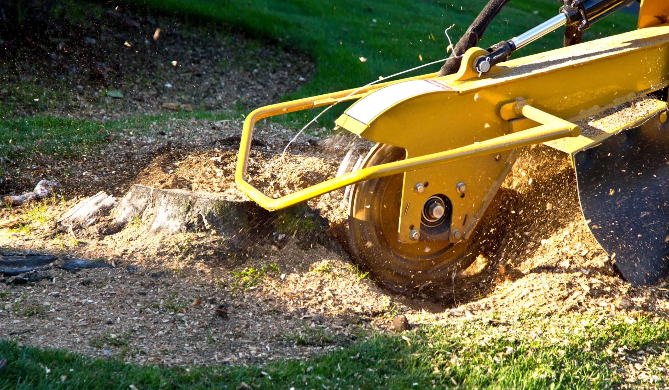 Etsitkö kantojyrsintä palvelua {{CITY_NAME_ELA}}? Tilaamalla {{CITY_NAME_GEN} ammattilaisen paikalle varmistavat, että kantojyrsintä toteutetaan nopeasti ja turvallisesti.