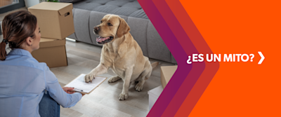 [BLOG #5119] Ser garante de un crédito o contrato, tiene riesgos