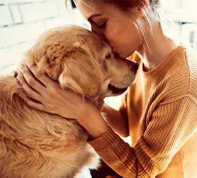 Seguro para Mascotas | Cotizá tu Asistencia para Perros y Gatos. Contratá Seguro para Mascotas al mejor precio. Cotizá, compará y elegí la mejor cobertura para tu perro o gato. Asegurá tu mascota con Naranja X 🐶 