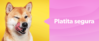 Perro haciendo una cara graciosa