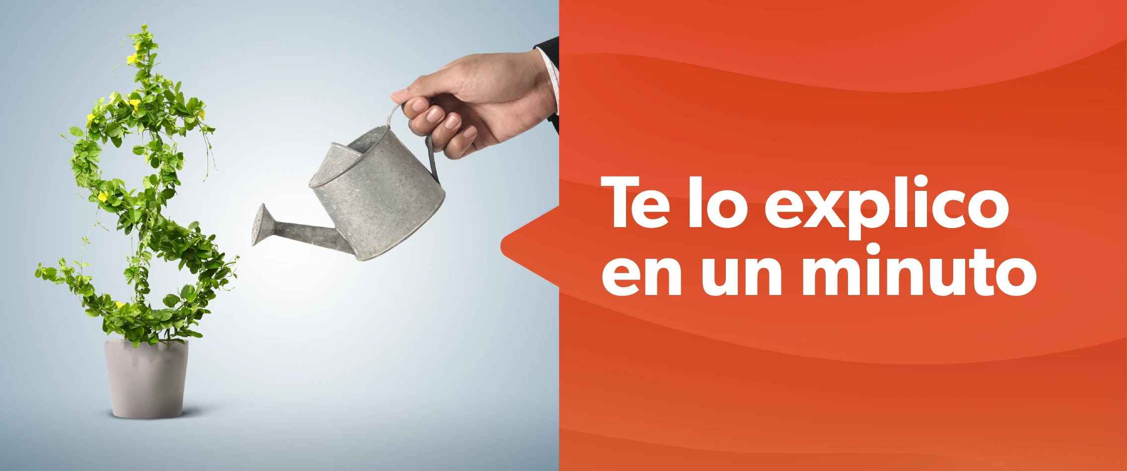 Una regadera regando una planta que está cortada con la forma del sgno del dinero ($)